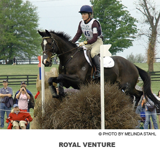 Royal Venture