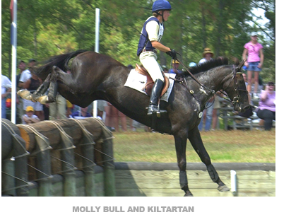 Molly Bull and Kiltartan